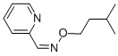 2-PYRIDINEALDOXIME O-ISOAMYL ETHER CAS#: 6267-20-5