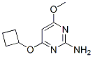 2-Pyrimidinamine, 4-(cyclobutyloxy)-6-methoxy- (9CI) CAS#: 552880-94-1