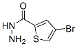 2-Thiophenecarboxylicacid,4-bromo-,hydrazide(9CI) CAS#: 438219-36-4