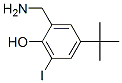2-aminomethyl-4-t-butyl-6-iodophenol CAS#: 58456-91-0