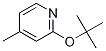 2-tert-Butoxy-4-methylpyridine CAS#: 57883-15-5