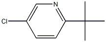 2-tert-butyl-5-chloropyridine CAS#: 56029-44-8