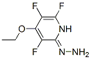 2(1H)-Pyridinone,4-ethoxy-3,5,6-trifluoro-,hydrazone(9CI) CAS#: 445465-80-5