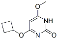 2(1H)-Pyrimidinone, 4-(cyclobutyloxy)-6-methoxy- (9CI) CAS#: 552880-95-2