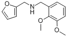 (2,3-DIMETHOXY-BENZYL)-FURAN-2-YLMETHYL-AMINE CAS#: 436086-81-6
