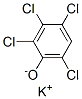 2,3,4,6-tetrachlorophenol, potassium salt CAS#: 53535-27-6