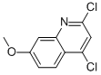 2,4-DICHLORO-7-METHOXY QUINOLINE CAS#: 55934-22-0
