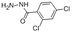 2,4-DICHLOROBENZHYDRAZIDE CAS#: 5814-06-2