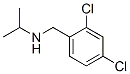 2,4-dichloro-N-isopropylbenzylamine CAS#: 46190-62-9