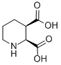 2,5-DIBROMOPIPERIDINE CAS#: 46026-75-9
