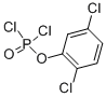 2,5-DICHLOROPHENYL DICHLOROPHOSPHATE, 97 CAS#: 53676-18-9