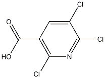2,5,6-Trichloronicotinic acid CAS#: 54718-39-7