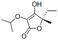 2(5H)-Furanone,5-ethyl-4-hydroxy-5-methyl-3-(1-methylethoxy)-,(5S)-(9CI) CAS#: 499140-47-5