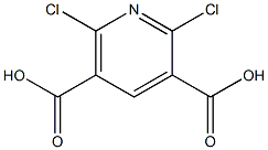 2,6-Dichloropyridine-3,5-dicarboxylic acid CAS#: 58584-82-0