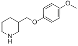 3-(4-METHOXY-PHENOXYMETHYL)-PIPERIDINE CAS#: 405060-20-0