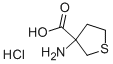 3-AMINO-TETRAHYDRO-THIOPHENE-3-CARBOXYLIC ACID HYDROCHLORIDE CAS#: 53747-09-4