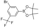 3-Bromo-5-(trifluoromethyl)benzeneboronic acid pinacol ester CAS#: 479411-92-2