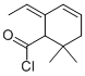 3-Cyclohexene-1-carbonyl chloride, 2-ethylidene-6,6-dimethyl- (9CI) CAS#: 57935-27-0