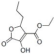 3-Furancarboxylic acid, 2,5-dihydro-4-hydroxy-5-oxo-2-propyl-, ethyl ester (9CI) CAS#: 412299-21-9