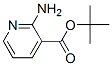 3-Pyridinecarboxylicacid,2-amino-,1,1-dimethylethylester(9CI) CAS#: 464216-16-8