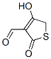 3-Thiophenecarboxaldehyde, 2,5-dihydro-4-hydroxy-2-oxo- (9CI) CAS#: 447403-32-9