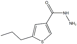 3-Thiophenecarboxylicacid,5-propyl-,hydrazide(9CI) CAS#: 438215-42-0