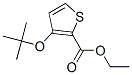 3-tert-Butoxy-2-thiophenecarboxylic acid ethyl ester CAS#: 5612-69-1