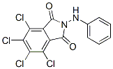 3,4,5,6-Tetrachloro-N-anilinophthalimide CAS#: 55809-92-2