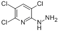 (3,5,6-TRICHLORO-PYRIDIN-2-YL)-HYDRAZINE CAS#: 55933-94-3