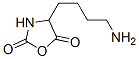 4-(4-aminobutyl)oxazolidine-2,5-dione CAS#: 5860-61-7