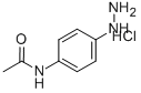 4-ACETAMIDOPHENYLHYDRAZINE HYDROCHLORIDE CAS#: 56745-86-9