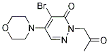 4-BROMO-5-MORPHOLINO-2-(2-OXOPROPYL)-3(2H)-PYRIDAZINONE CAS#: 477845-69-5