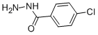 4-CHLOROBENZHYDRAZIDE CAS#: 536-40-3