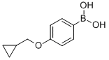 4-(CYCLOPROPYLMETHOXY)BENZENEBORONIC ACID CAS#: 411229-67-9