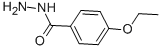 4-ETHOXYBENZHYDRAZIDE CAS#: 58586-81-5