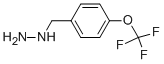 4-TRIFLUOROMETHOXY-BENZYL-HYDRAZINE CAS#: 51887-20-8