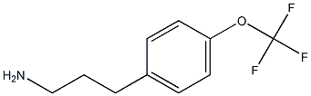 4-(TrifluoroMethoxy)-benzenepropanaMine CAS#: 465529-50-4