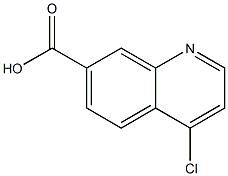 4-chloroquinoline-7-carboxylic acid CAS#: 49713-58-8