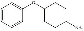 4-phenoxycyclohexanaMine CAS#: 58730-73-7