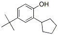 4-tert-butyl-2-cyclopentylphenol CAS#: 52762-67-1