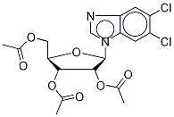 5,6-Dichloropurine-1-(2,3,5-tri-O-acetyl-β-D-ribofuanosyl)-1H-benziMidazole CAS#: 443678-71-5