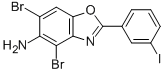 4,6-DIBROMO-2-(3-IODOPHENYL)-1,3-BENZOXAZOL-5-AMINE CAS#: 586996-09-0