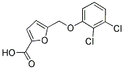 5-(2,3-DICHLORO-PHENOXYMETHYL)-FURAN-2-CARBOXYLIC ACID CAS#: 438218-49-6