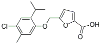 5-(4-CHLORO-2-ISOPROPYL-5-METHYL-PHENOXYMETHYL)-FURAN-2-CARBOXYLIC ACID CAS#: 438219-43-3