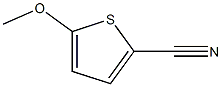 5-Methoxythiophene-2-carbonitrile CAS#: 58703-25-6