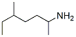 5-Methyl-2-heptanamine CAS#: 53907-81-6