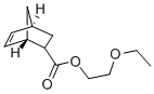 5-NORBORNENE-2-CARBOXYLIC 2'-ETHOXYETHYL ESTER CAS#: 46399-60-4