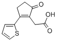 (5-OXO-2-THIOPHEN-2-YL-CYCLOPENT-1-ENYL)-ACETIC ACID CAS#: 436086-95-2