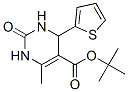 5-Pyrimidinecarboxylicacid,1,2,3,4-tetrahydro-6-methyl-2-oxo-4-(2-thienyl)-,1,1-dimethylethylester(9CI) CAS#: 500268-74-6