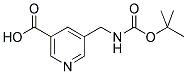 5-(TERT-BUTOXYCARBONYLAMINO-METHYL)-NICOTINIC ACID CAS#: 473924-59-3